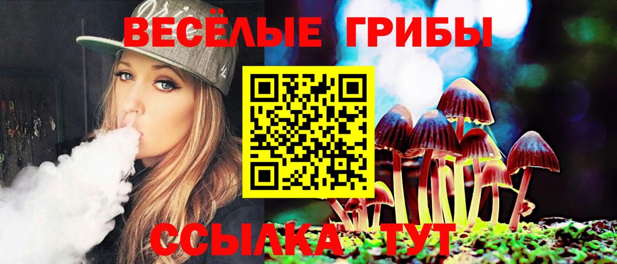 Псилоцибиновые грибы мицелий Асбест